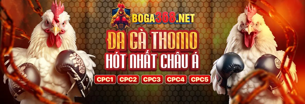 Đá Gà Trực Tuyến EV88